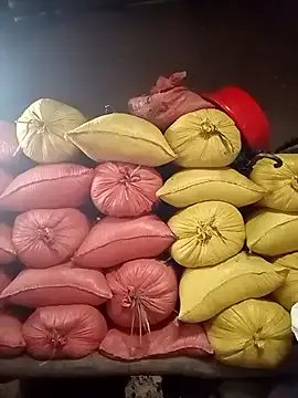 ngaytho004 on StripChat