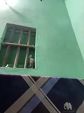 Freechat Night_owl111 on StripChat