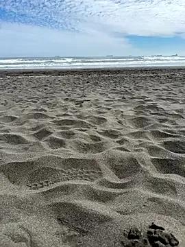 Avatar of princesaliay