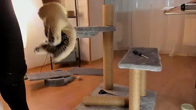 Freechat RebeccaMartinez on StripChat