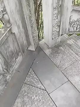 shaoshao-7758's avatar