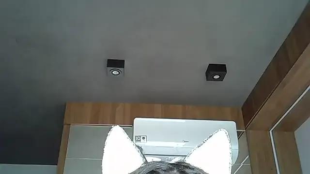 Freechat SkinnyKitten on StripChat