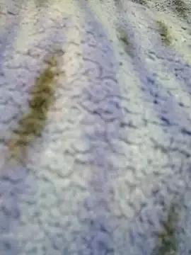 Freechat Terpsichore_Muse on StripChat