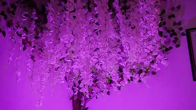 thin_princess on StripChat