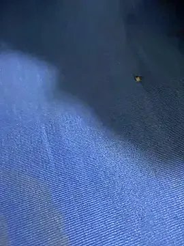 United3 on StripChat